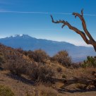 High Desert